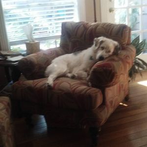 Meet your Posher, Curtis